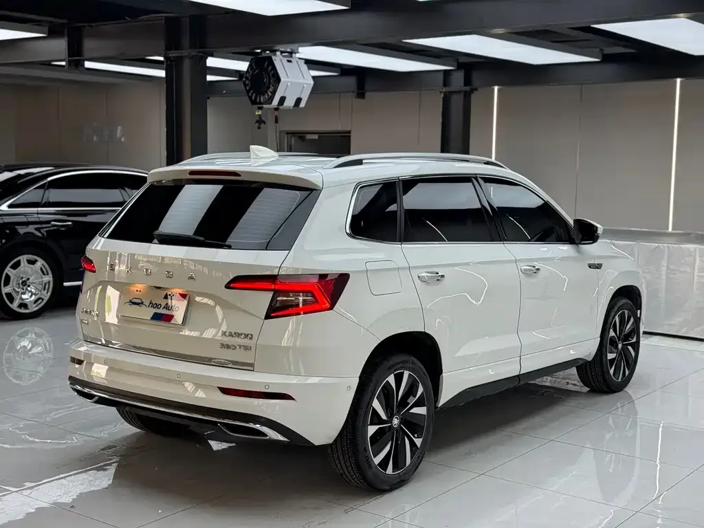 Skoda Karoq — фото 6