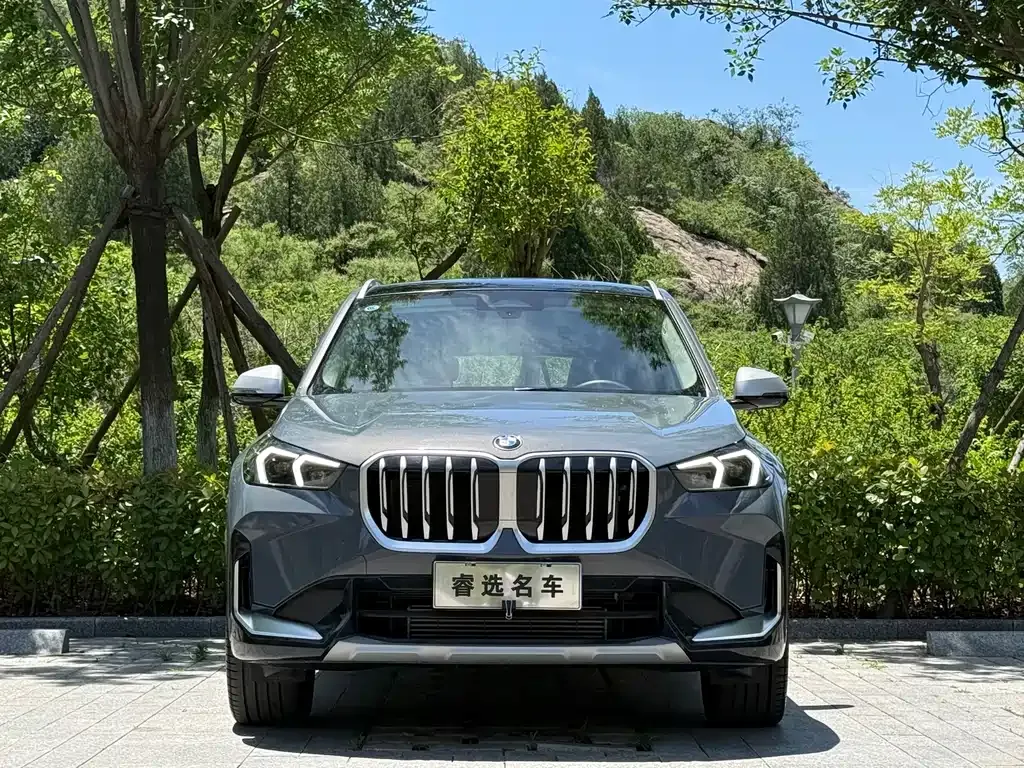 BMW X1 2024 из CN, фото 6