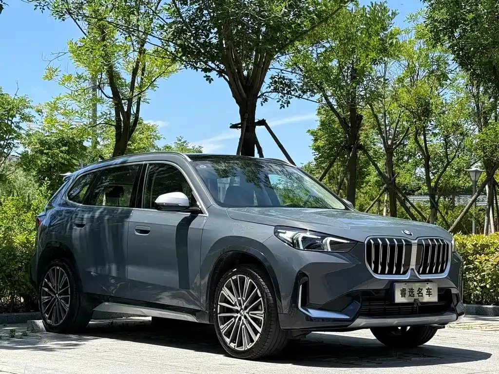 BMW X1 2024 из CN, фото 8