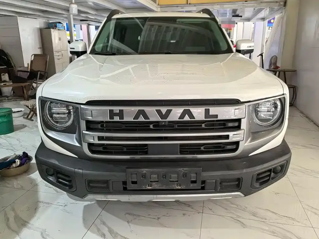 Haval Big Dog 2024 из CN, фото 5