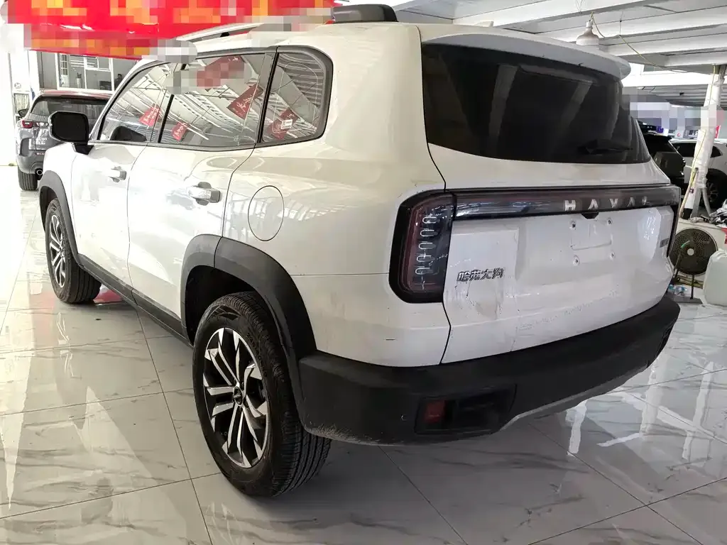 Haval Big Dog 2024 из CN, фото 7