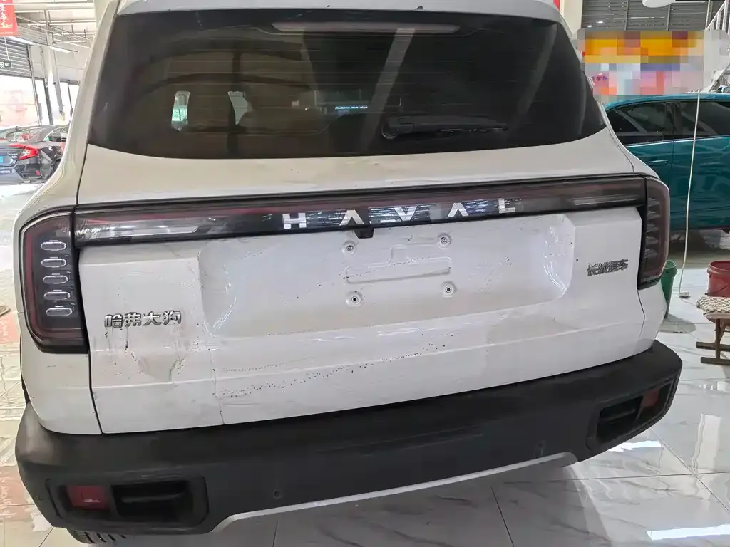 Haval Big Dog 2024 из CN, фото 9