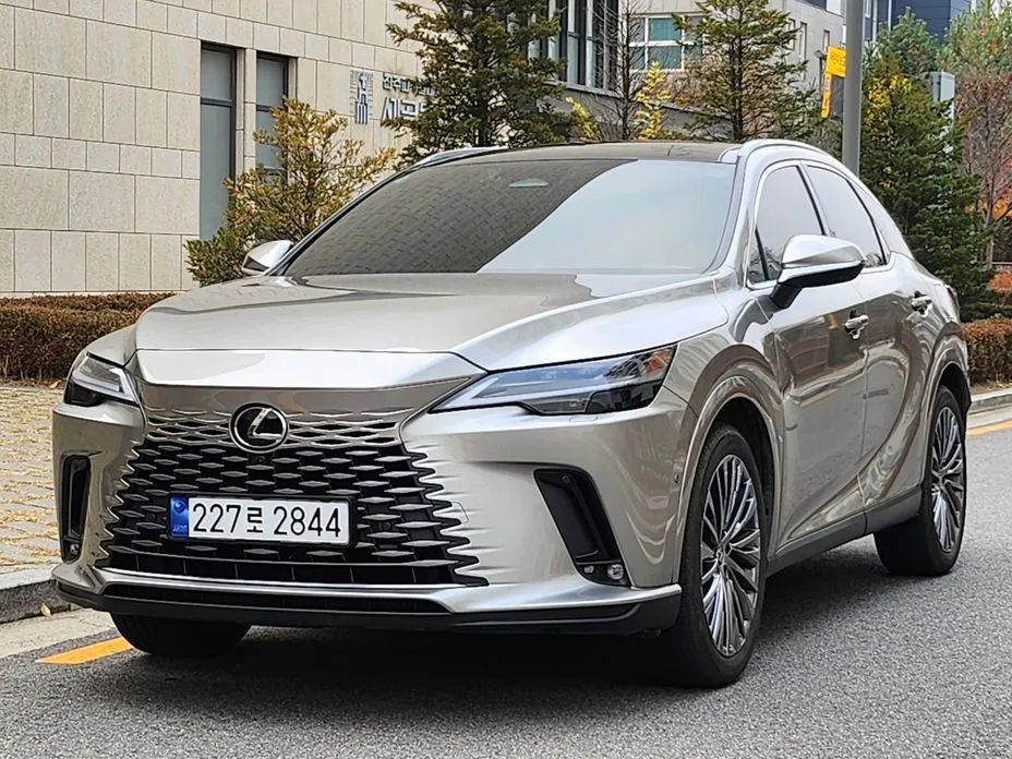 Lexus RX 2024 из KR, фото 6