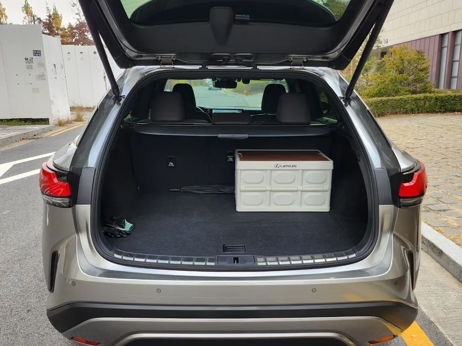 Lexus RX 2024 из KR, фото 7