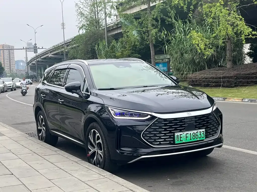 BYD Tang New Energy — фото 3