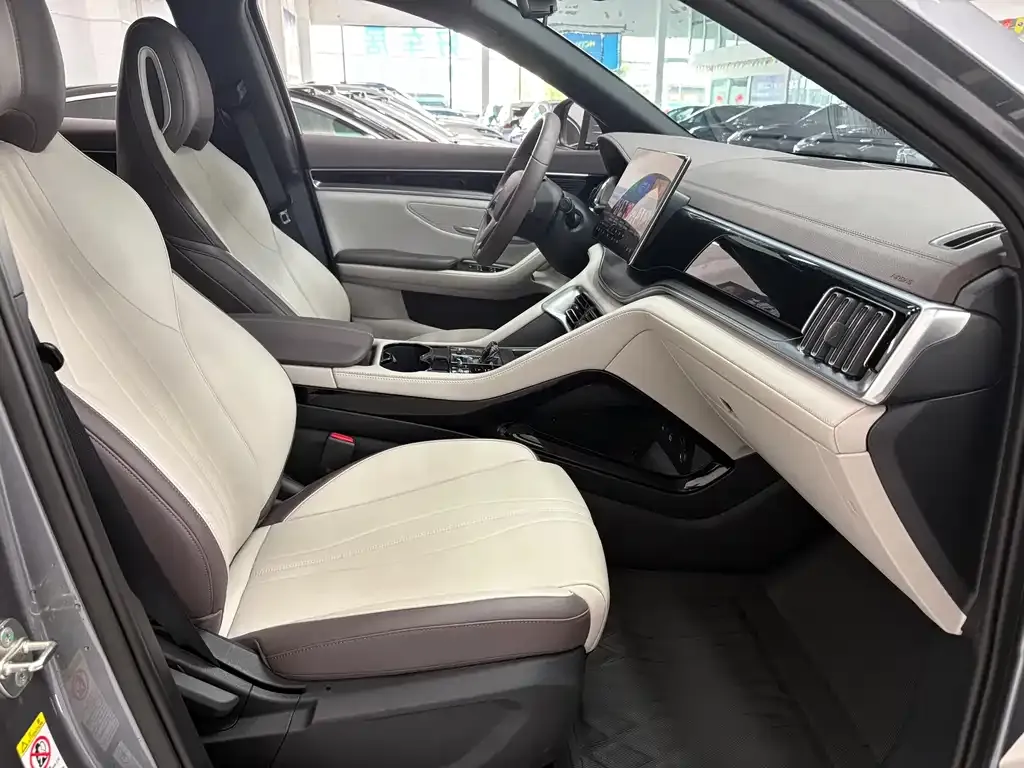 BYD PLUS New Energy — фото 10