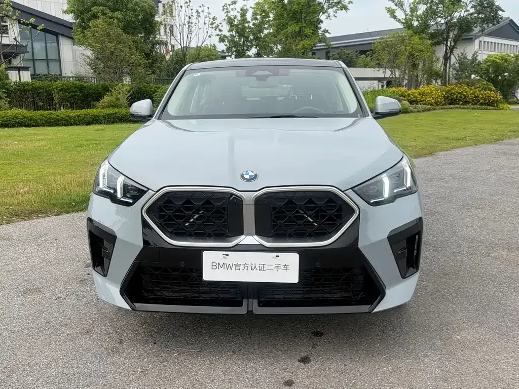 BMW X2 (Import) 2024 из CN, фото 3