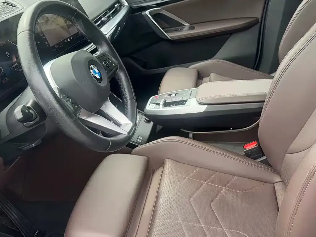 BMW X2 (Import) 2024 из CN, фото 8