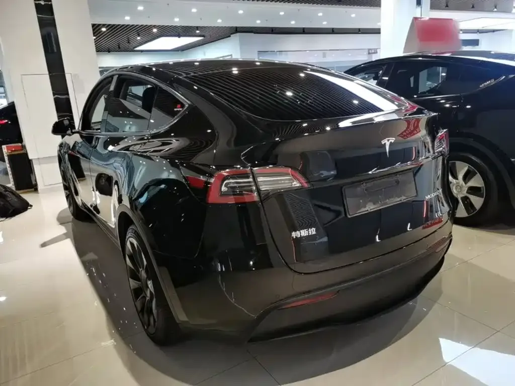 Tesla Model Y — фото 10