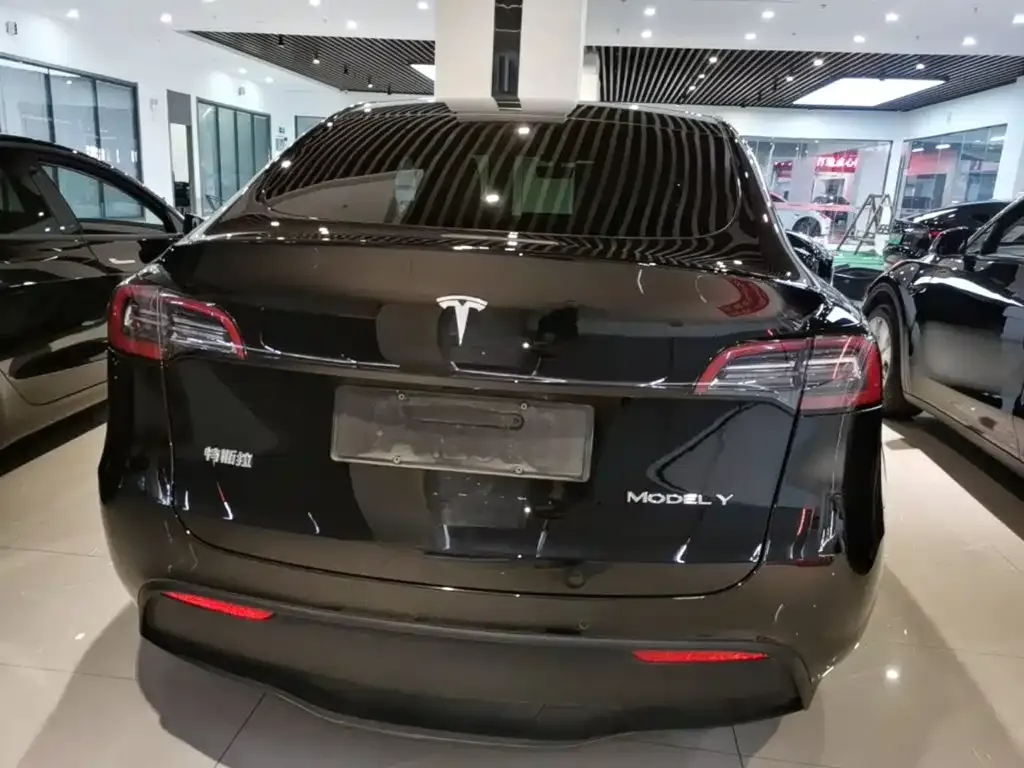 Tesla Model Y — фото 9