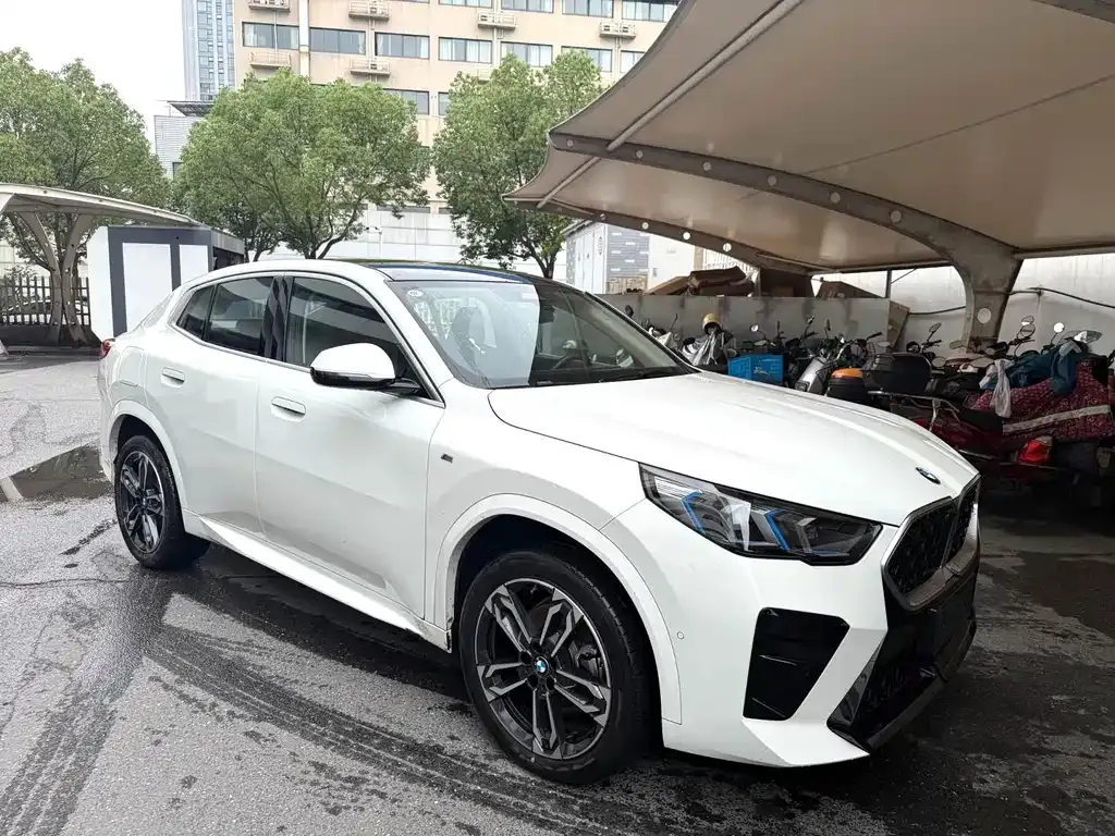BMW X2 (Import) 2025 из CN, фото 7
