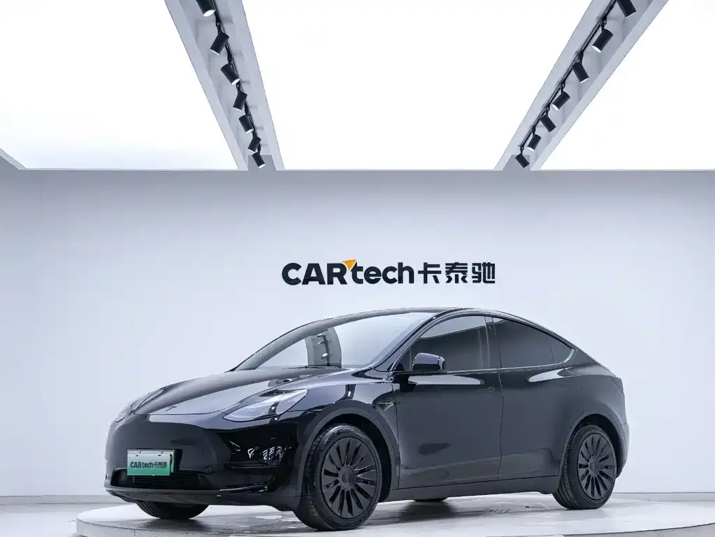 Tesla Model Y — фото 1