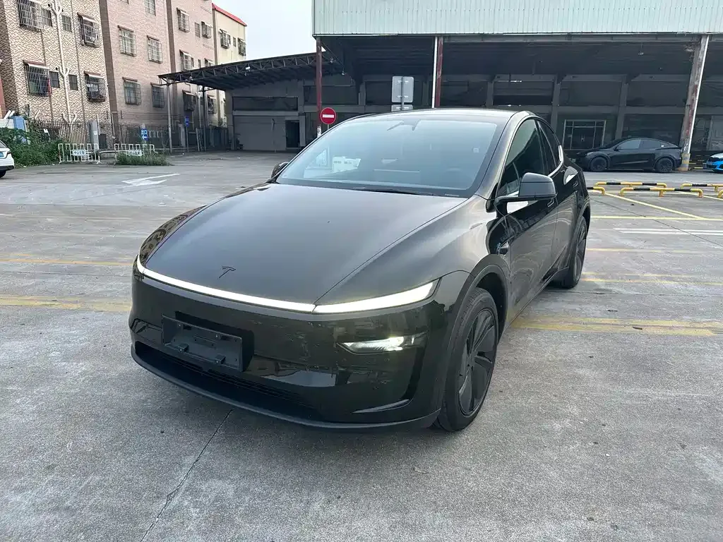 Tesla Model Y — фото 1
