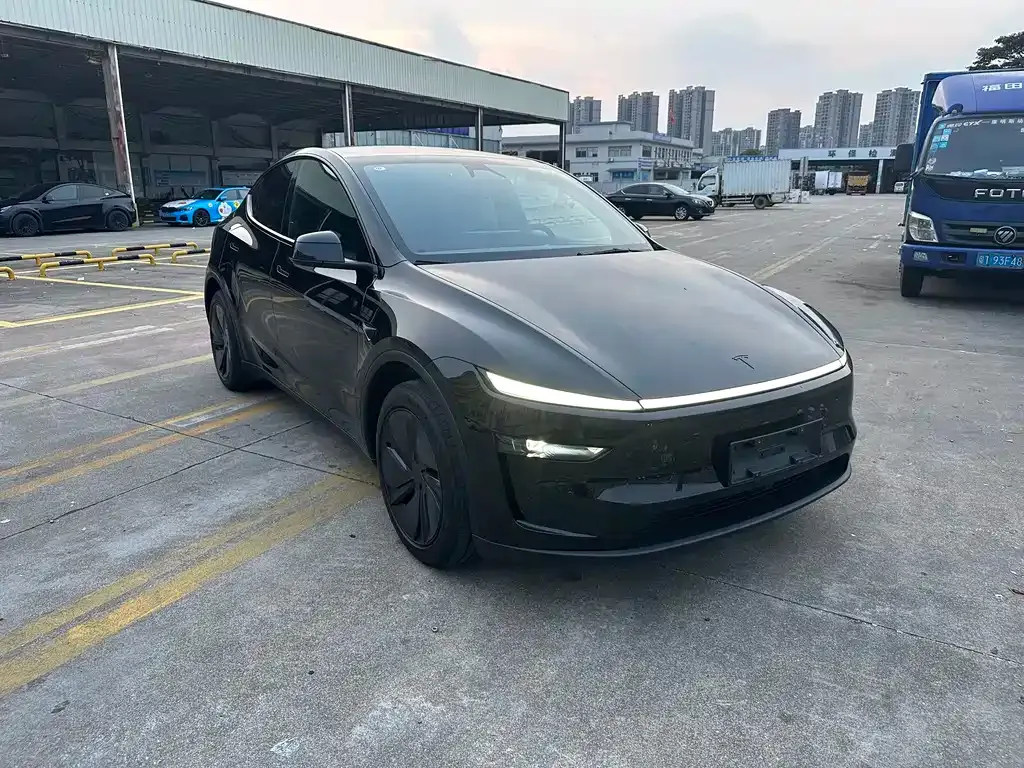 Tesla Model Y — фото 5