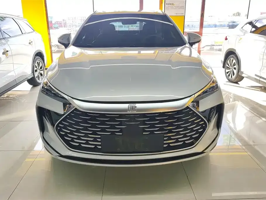 BYD Tang New Energy — фото 10