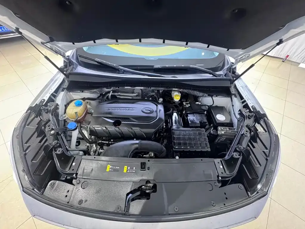 GAC Motor GS4 Plus 2022 из CN, фото 8