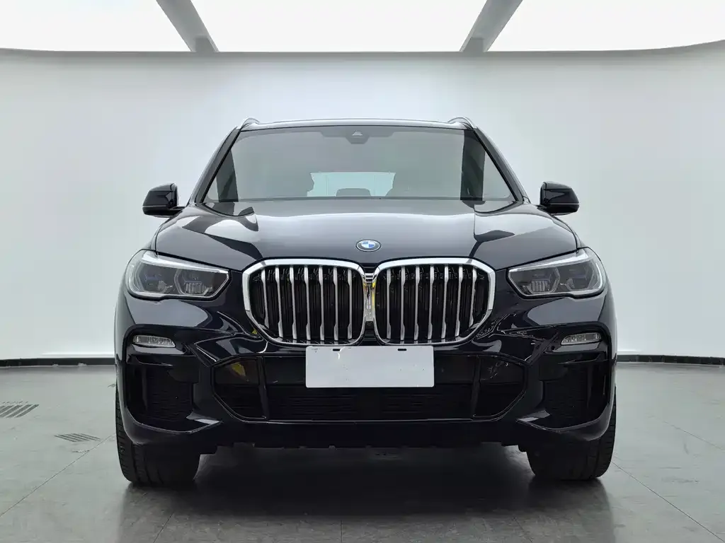 BMW X5 (Import) 2021 из CN, фото 6