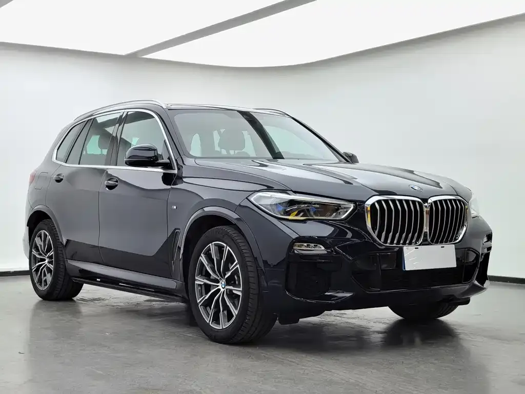BMW X5 (Import) 2021 из CN, фото 9
