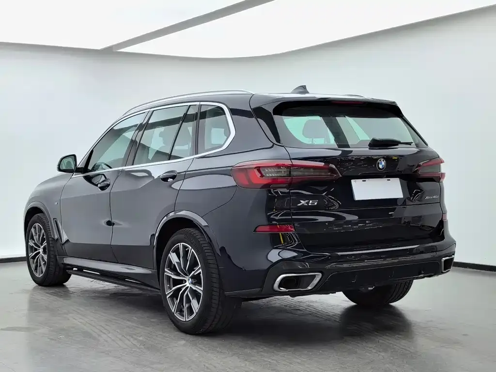 BMW X5 (Import) 2021 из CN, фото 10