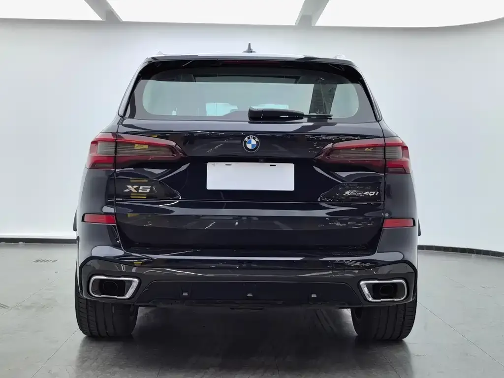 BMW X5 (Import) 2021 из CN, фото 3