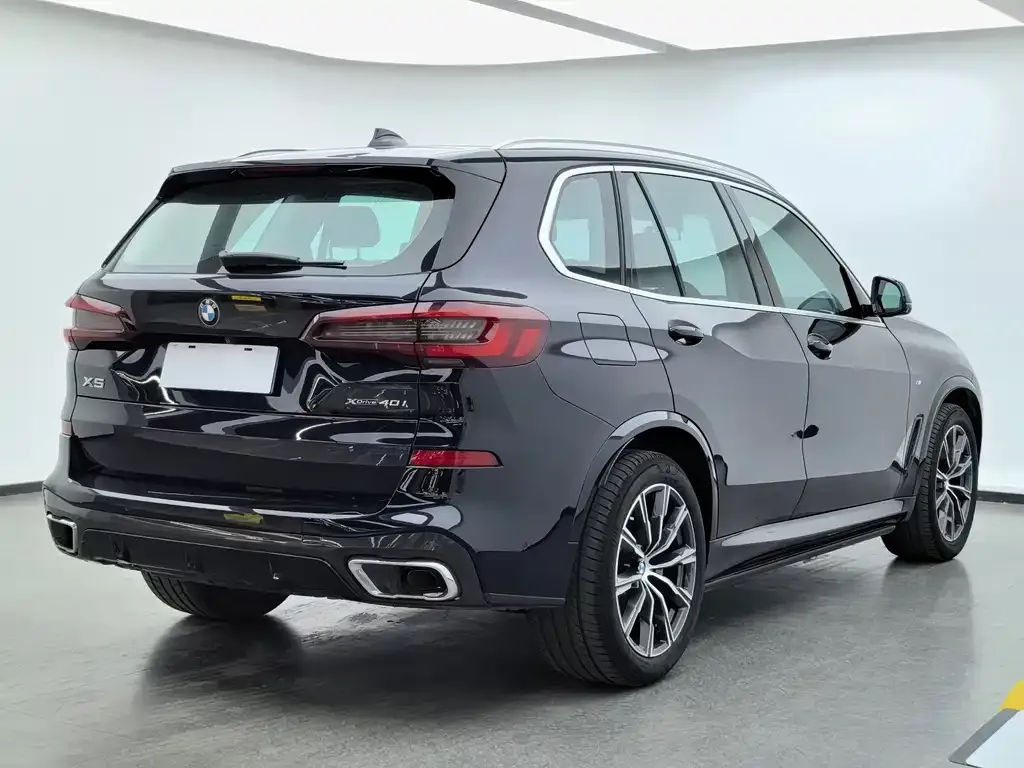BMW X5 (Import) 2021 из CN, фото 5