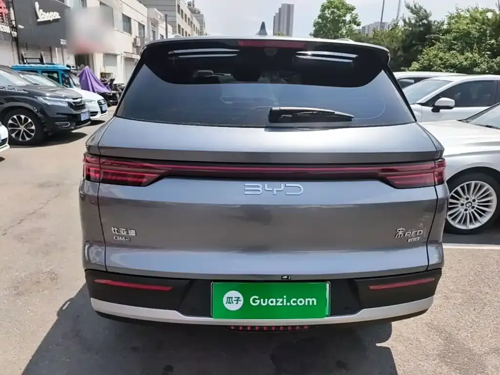 BYD Pro New Energy — фото 7