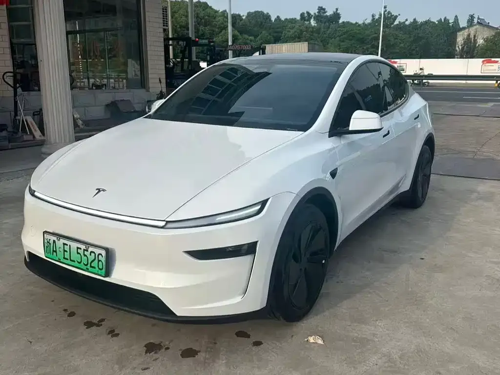 Tesla Model Y — фото 1
