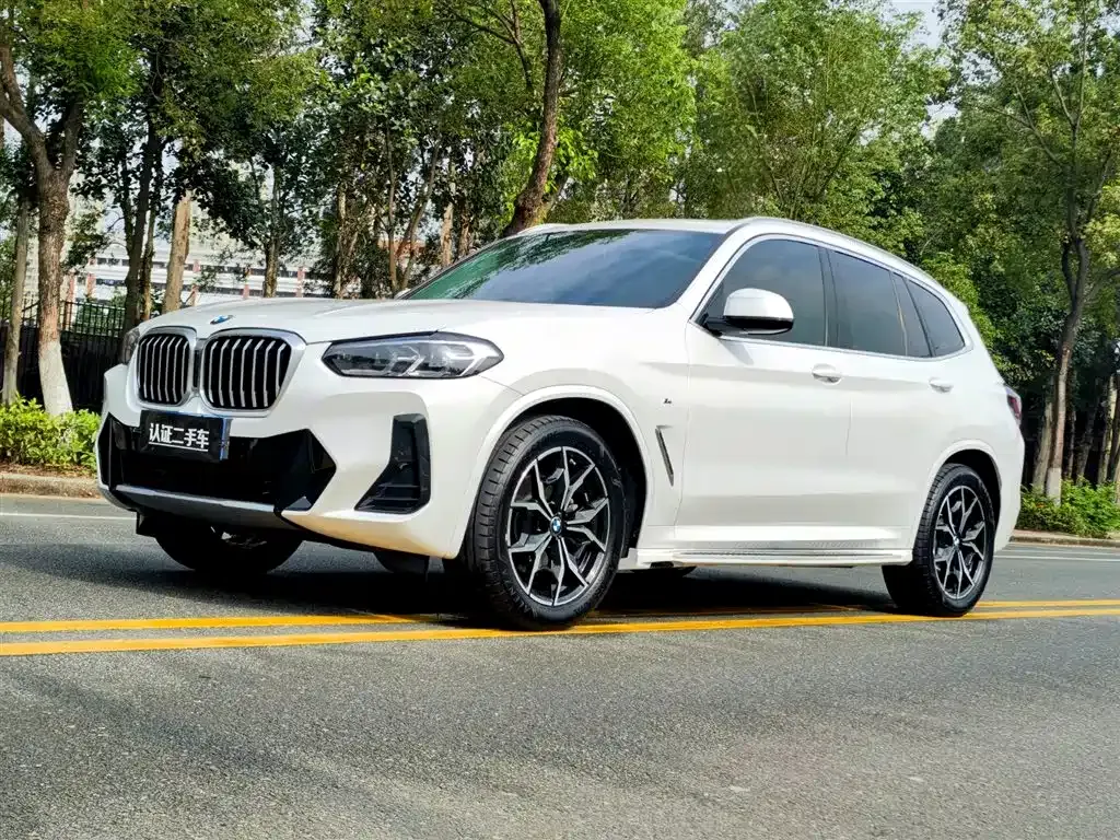 BMW X3 — фото 1