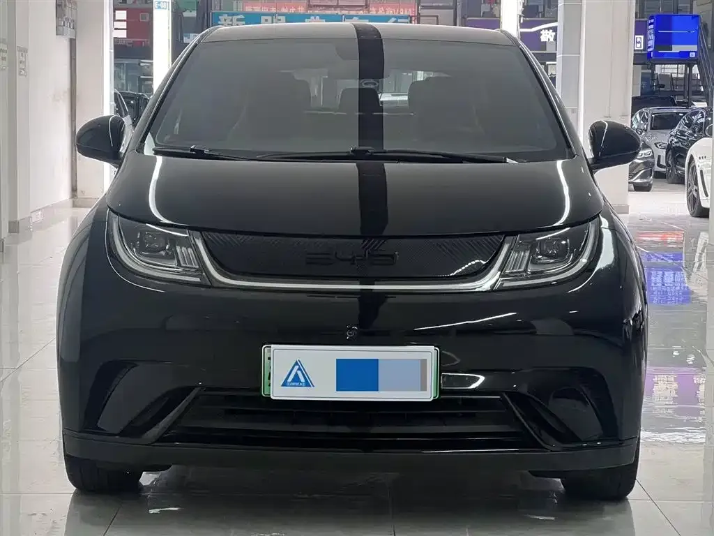 BYD Dolphin 2024 из CN, фото 4