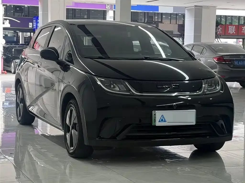 BYD Dolphin 2024 из CN, фото 3
