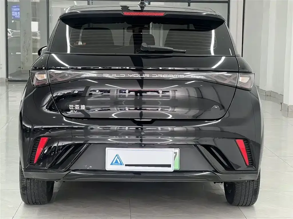 BYD Dolphin 2024 из CN, фото 6