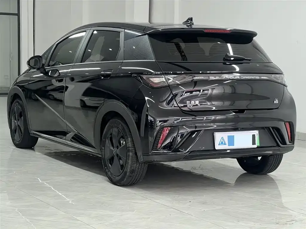 BYD Dolphin 2024 из CN, фото 7