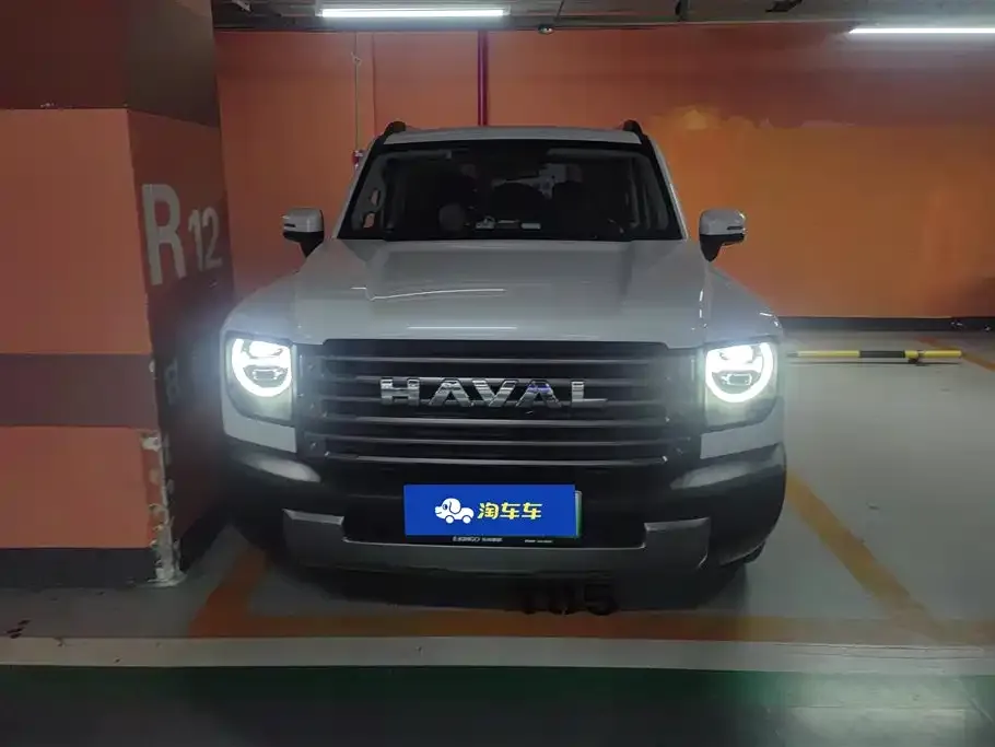 Haval Menglong New Energy 2023 из CN, фото 6