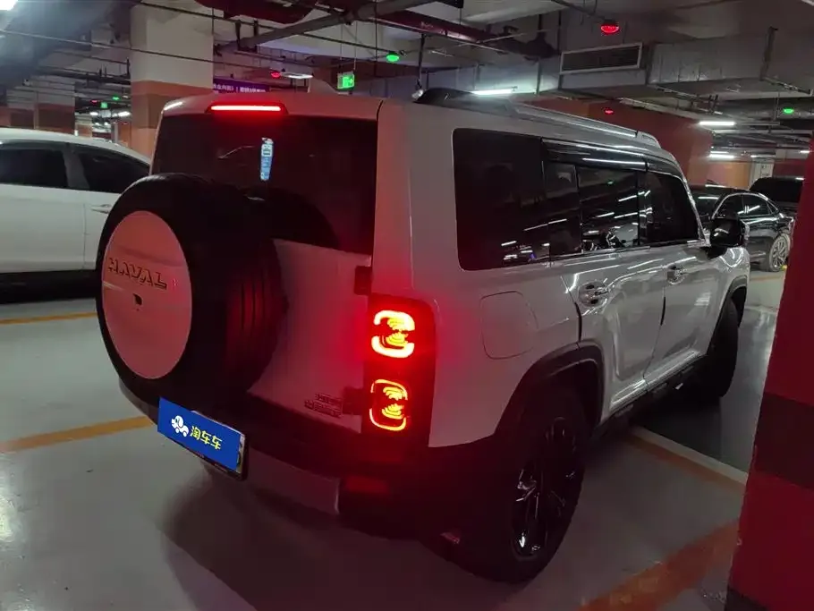 Haval Menglong New Energy 2023 из CN, фото 9