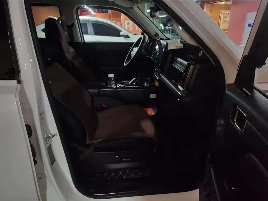 Haval Menglong New Energy 2023 из CN, фото 8
