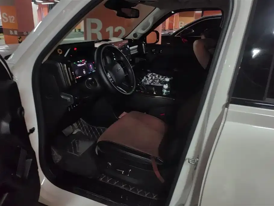 Haval Menglong New Energy 2023 из CN, фото 7