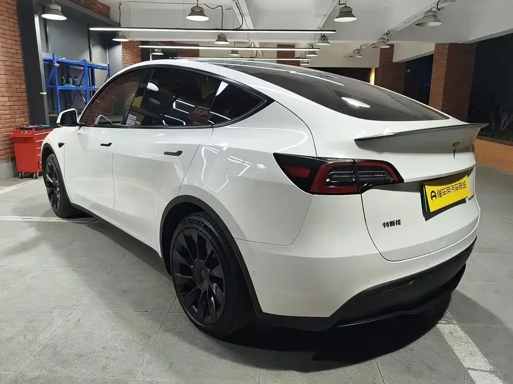 Tesla Model Y — фото 10
