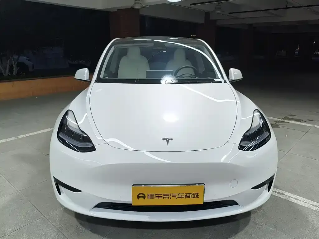Tesla Model Y — фото 8
