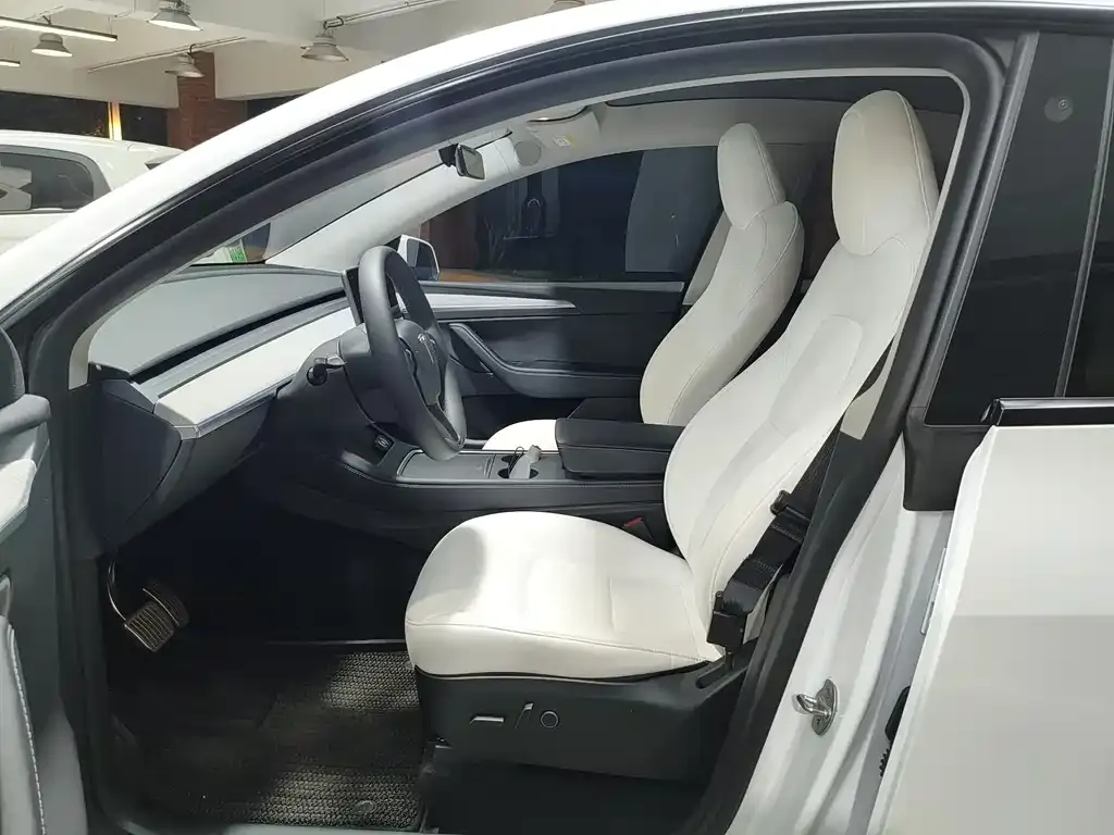 Tesla Model Y — фото 2