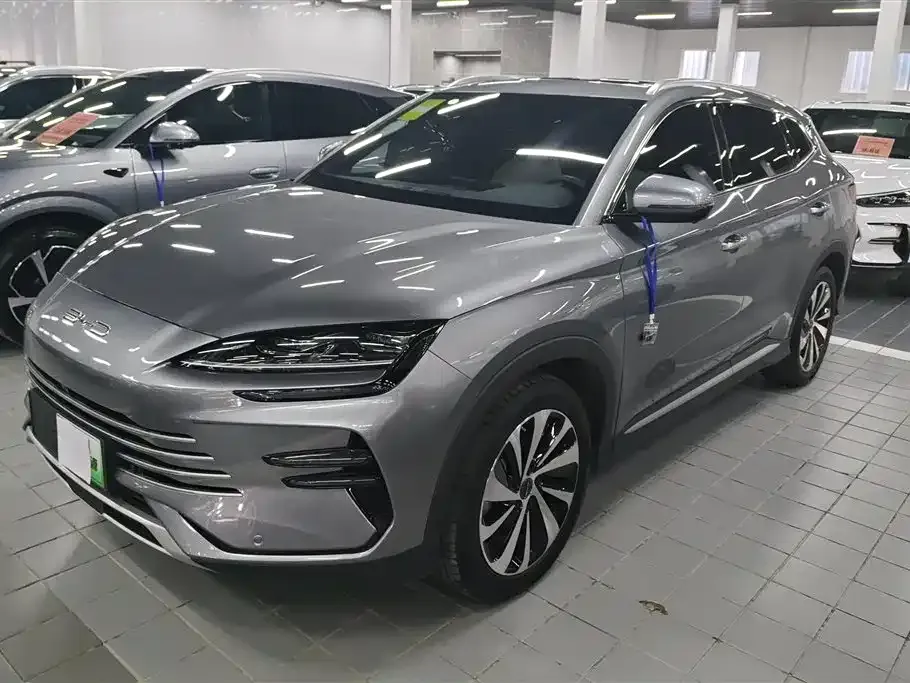 BYD PLUS New Energy — фото 1