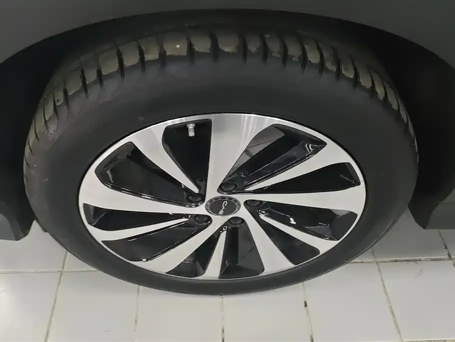 BYD PLUS New Energy — фото 10