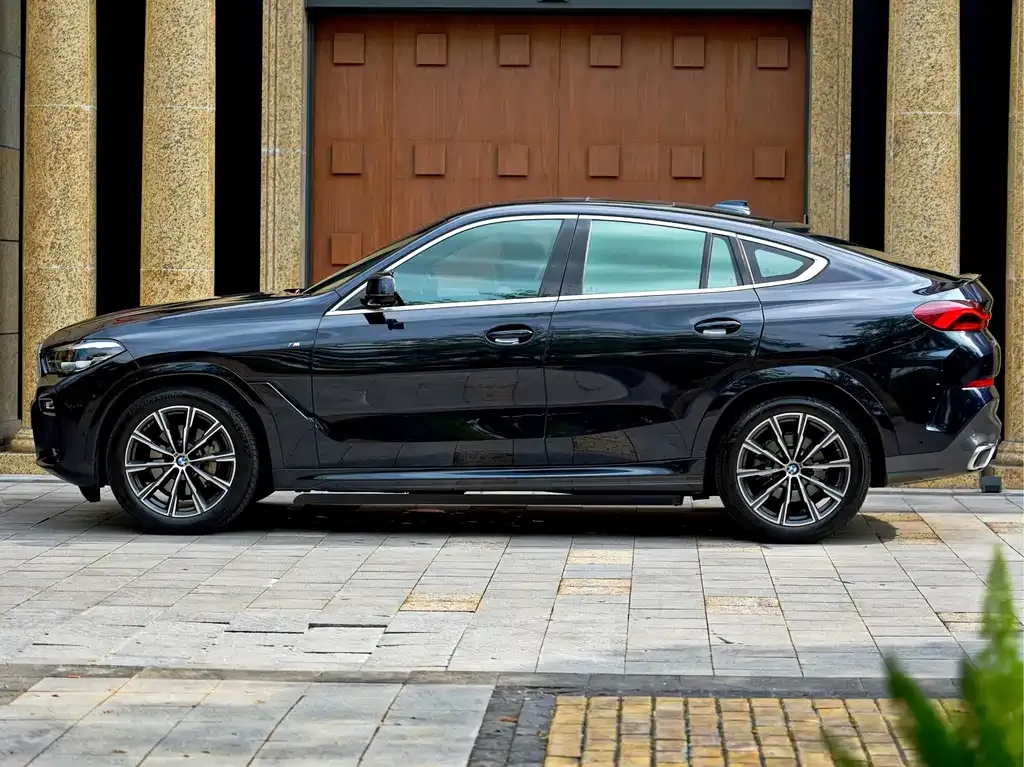 BMW X6 2021 из CN, фото 9