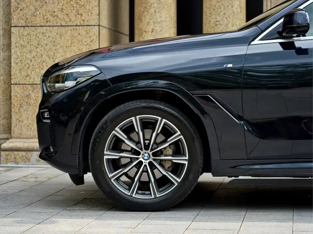 BMW X6 2021 из CN, фото 7