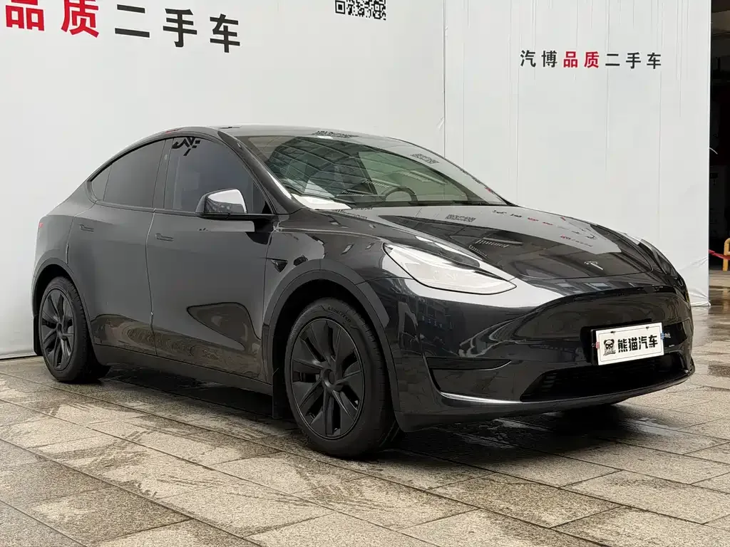 Tesla Model Y — фото 3