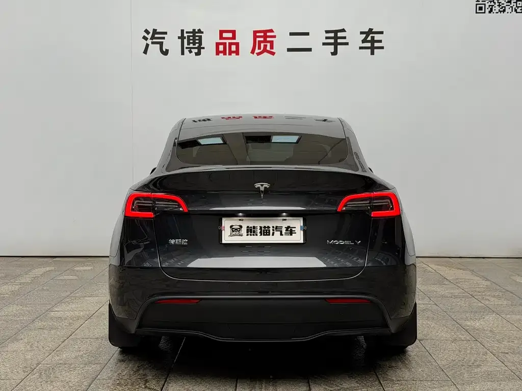 Tesla Model Y — фото 9