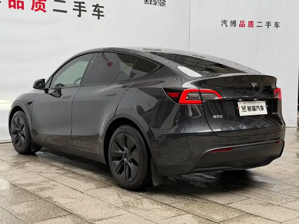 Tesla Model Y — фото 10