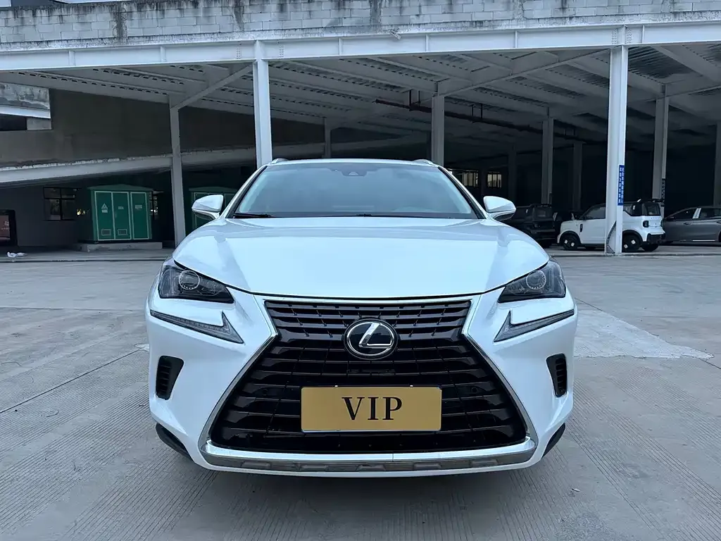 Lexus NX 2021 из CN, фото 5