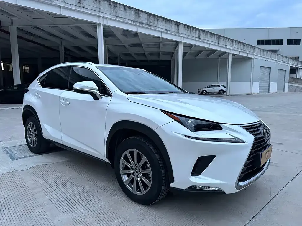 Lexus NX 2021 из CN, фото 4