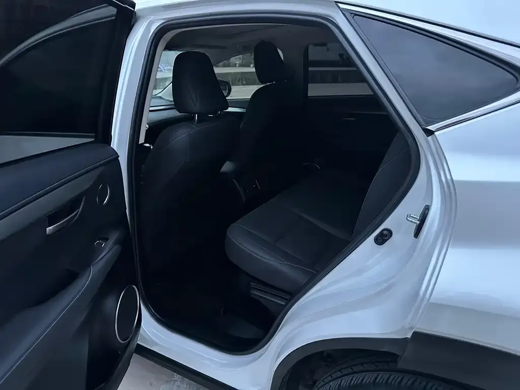 Lexus NX 2021 из CN, фото 9