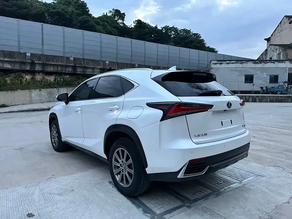 Lexus NX 2021 из CN, фото 6
